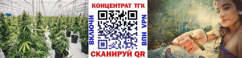 ТГК Wax  цена наркотик  гидра ССЫЛКА  Пыталово 